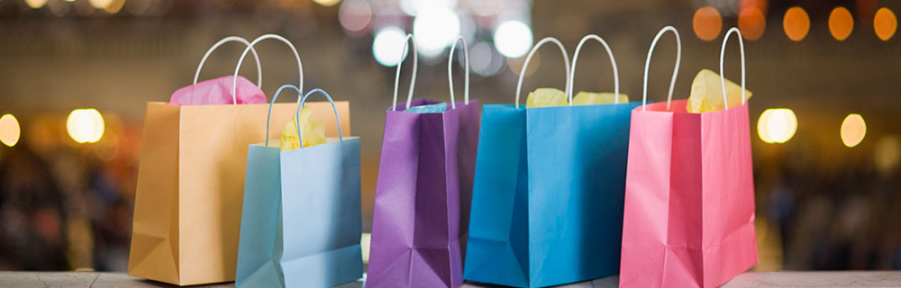 Paper Carry Bag Manufacturers in Delhi NCR